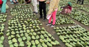 मुख्यमंत्री श्री विष्णु देव साय 21 जून को करेंगे प्रदेशव्यापी चरण पादुका योजना का शुभारंभ